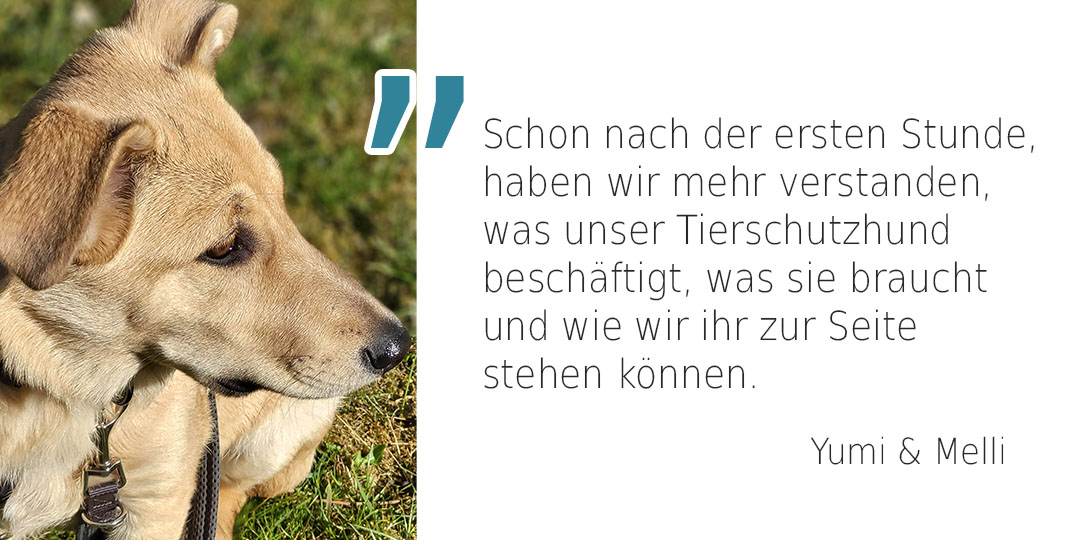 Tierschutzhund / Hundeschule fr Tierschutzhunde