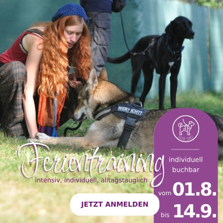 Ferientraining
