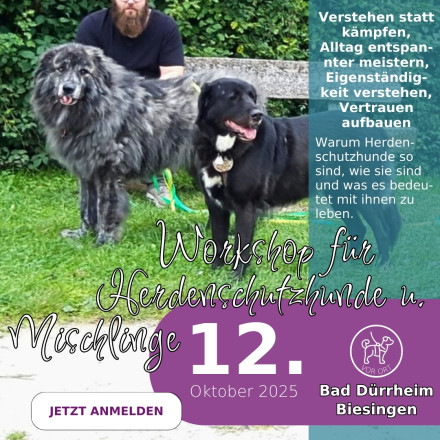 Ferientraining