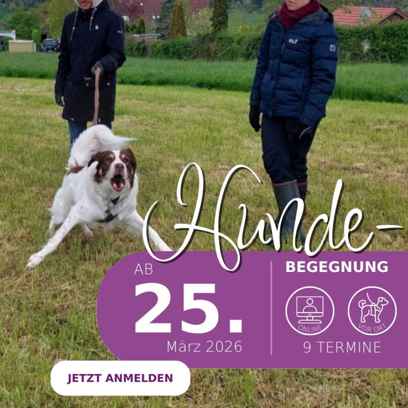 Hundebegegnung entspannt meistern