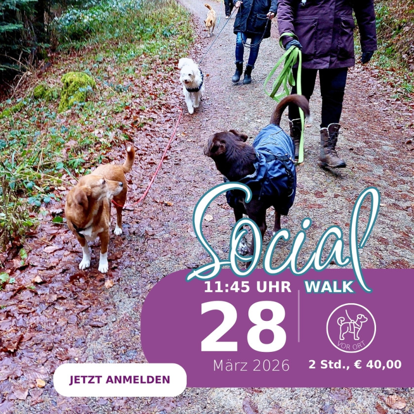 Social Walk