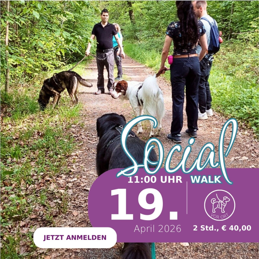Social Walk