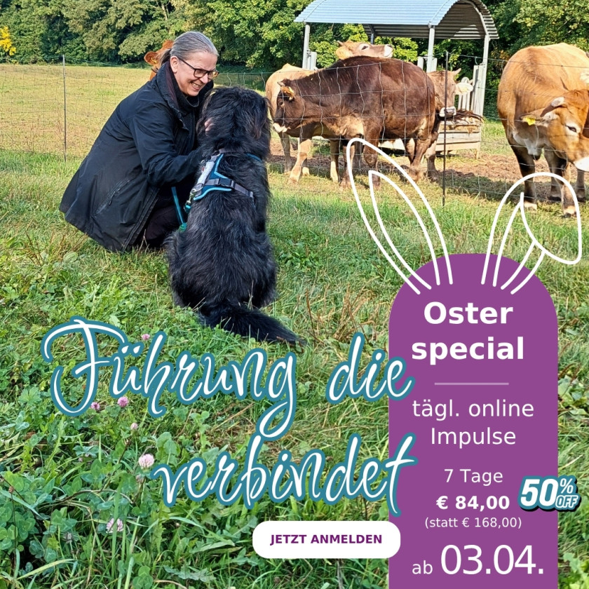 F&uuml;hrung und Orientierung f&uuml;r Deinen Hund