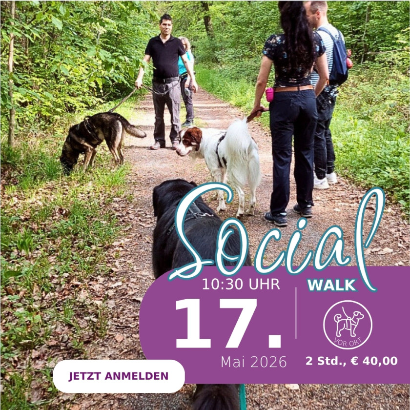 Social Walk