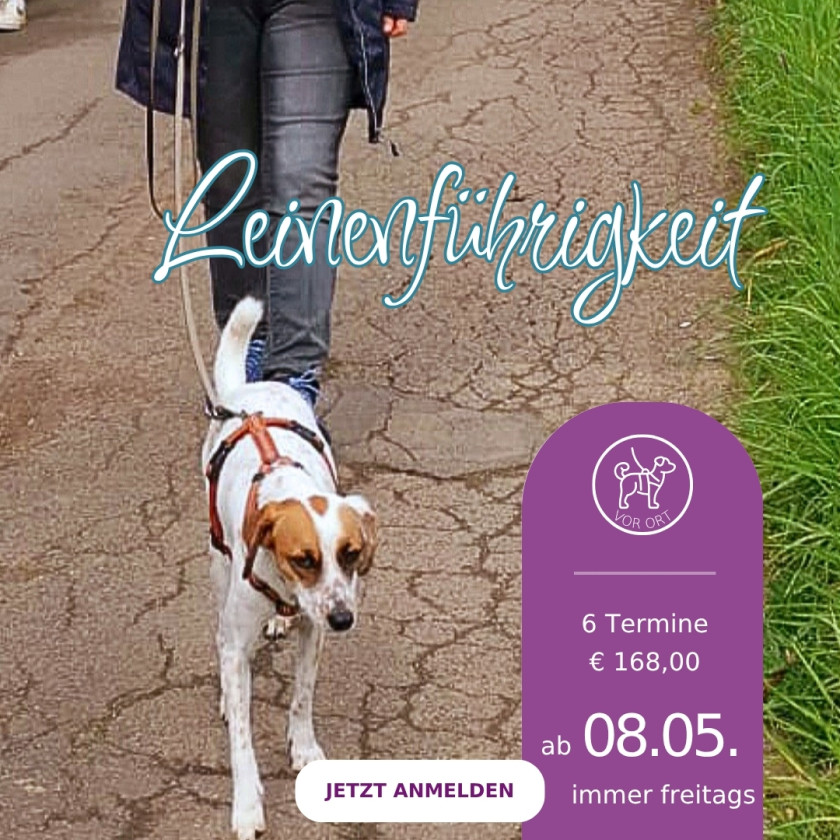 Leinenf&uuml;hrigkeit