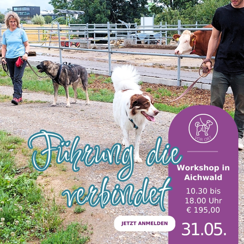 F&uuml;hrung und Orientierung f&uuml;r Deinen Hund