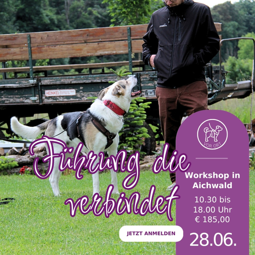 F&uuml;hrung und Orientierung f&uuml;r Deinen Hund