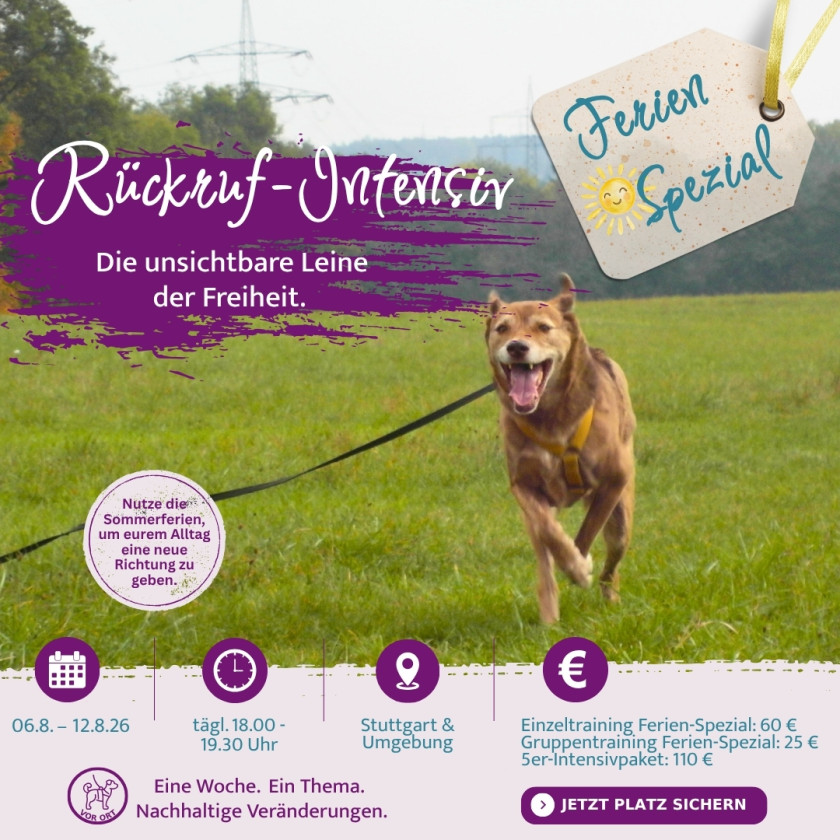 R&uuml;ckruf