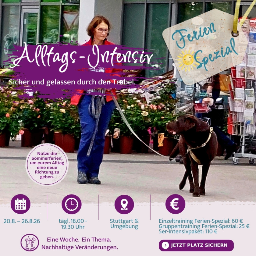 Altagstraining