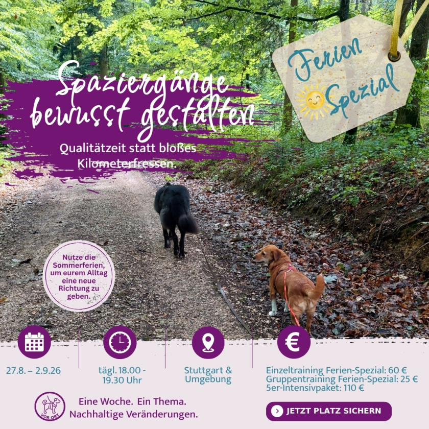 Spaziergang gestalten