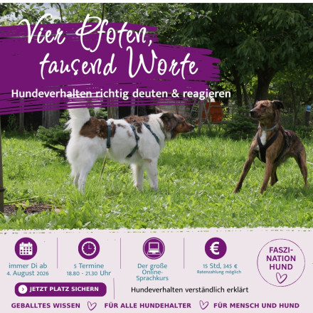 Ausdrucksverhalten Hund