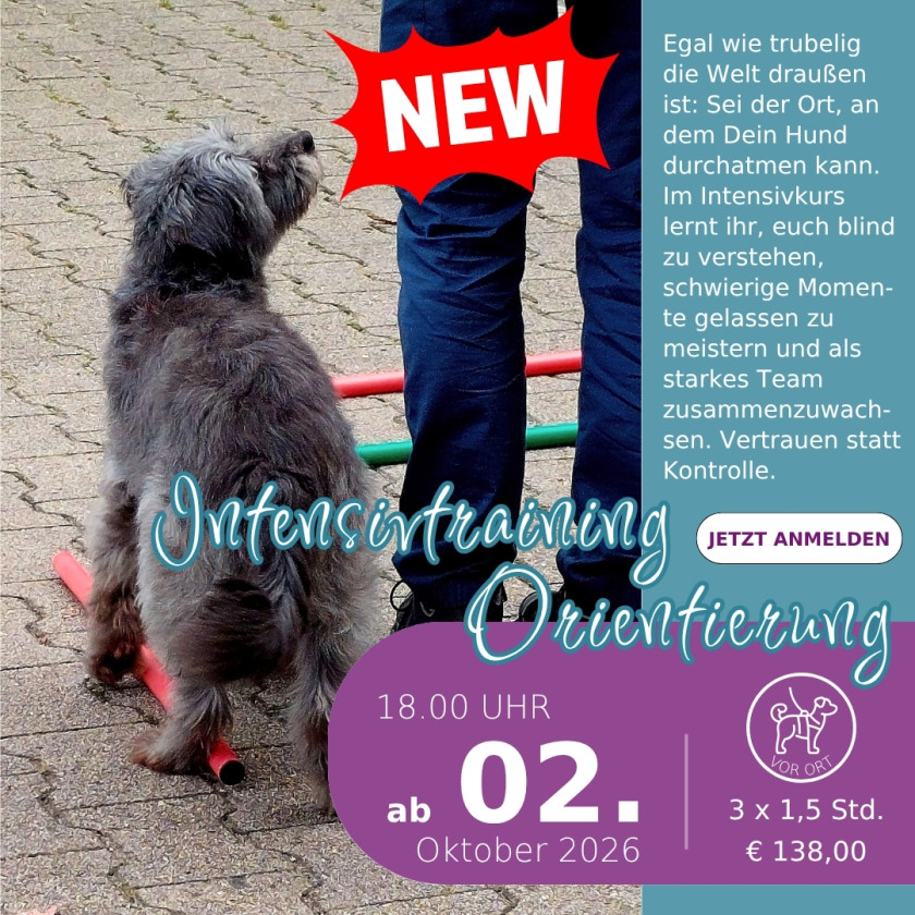 Orientierung