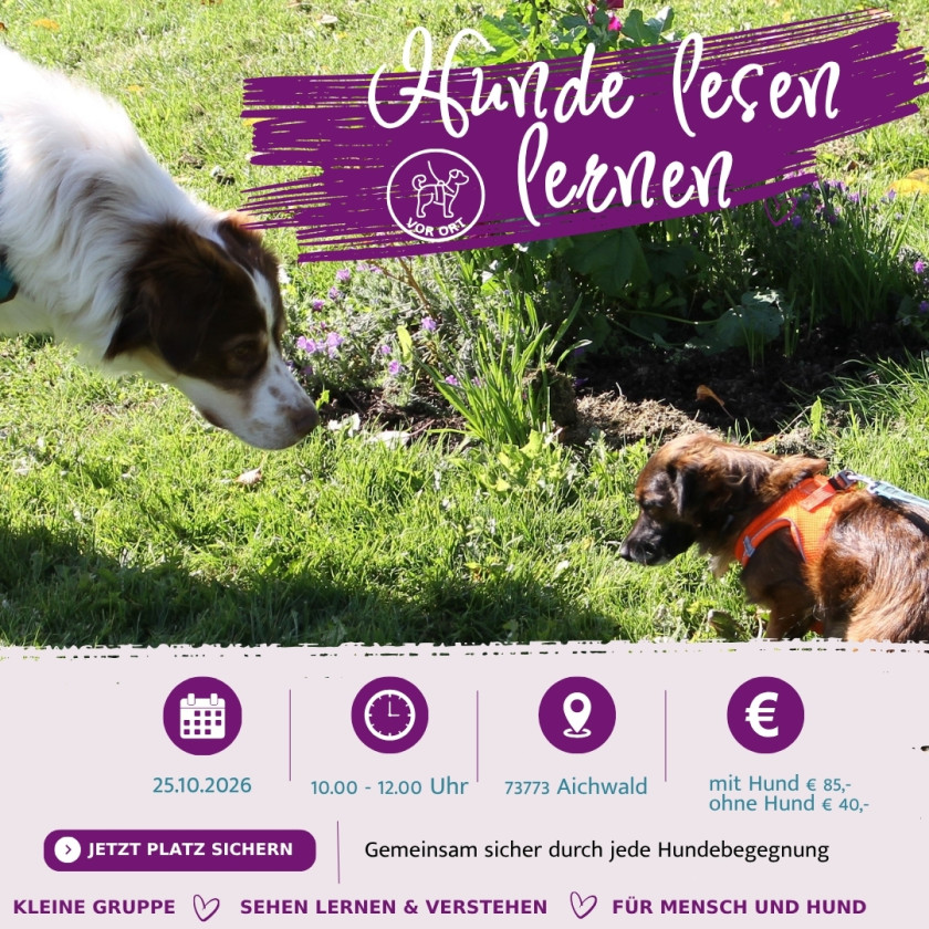 Hundeverhalten